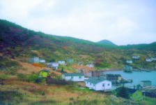 510: View of Red Island harbour looking northwest. (circa 2000) [courtesy of Madonna (Bishop) Mulrooney]